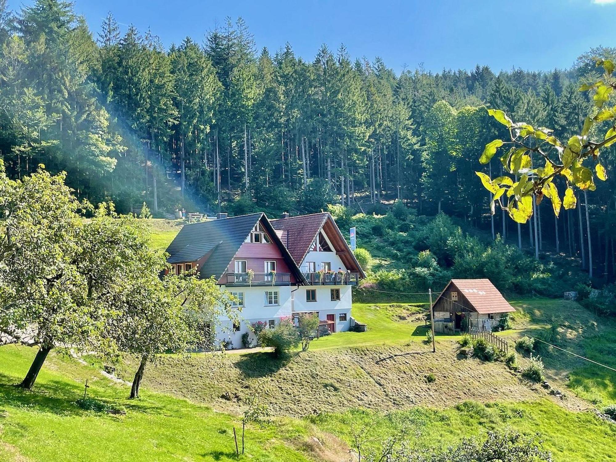 Ferienwohnung Deine Rauszeit Seebach Esterno foto